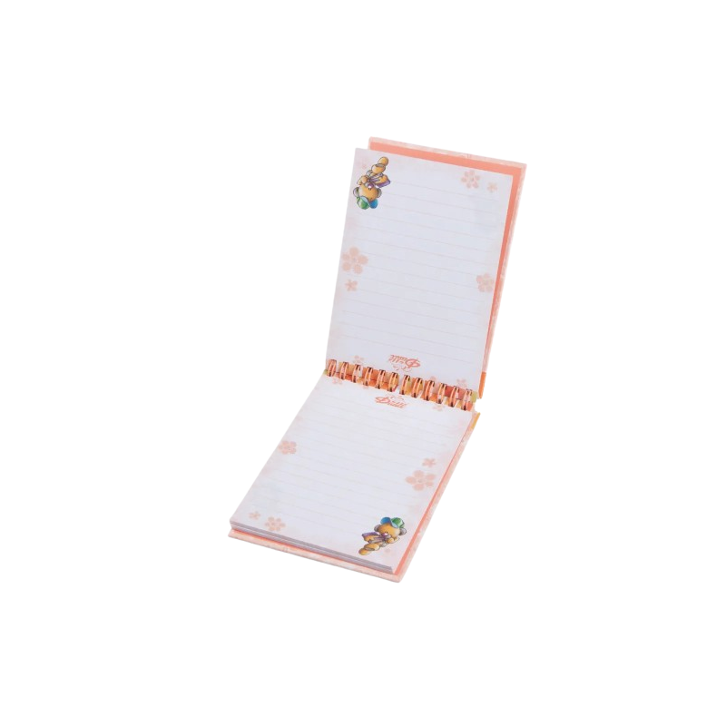 Carnet sprial A6 Diddl | Orange