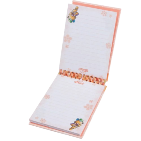 Carnet sprial A6 Diddl | Orange