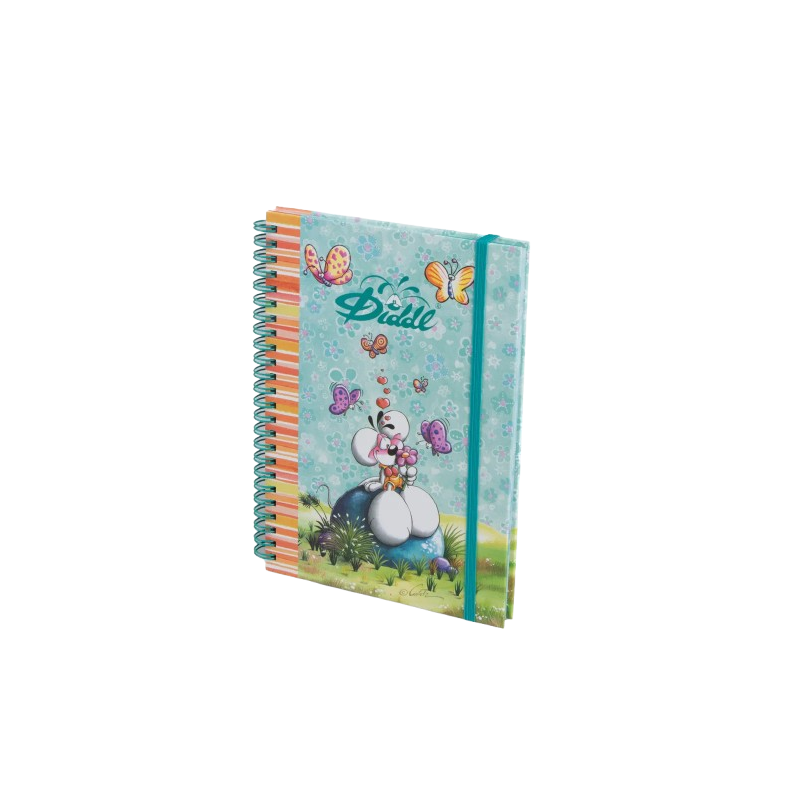 Carnet A5 spiral Diddl | Vert