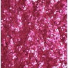 Paillettes | Pure Turfuchsia