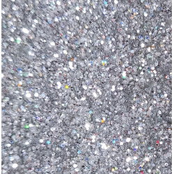 Paillettes | Holo V2 argenté