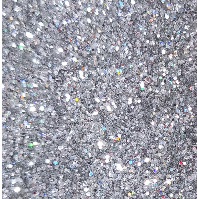 Paillettes | Holo V2 argenté