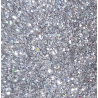 Paillettes | Holo V2 argenté