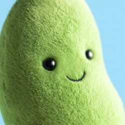 Amuseables | Soyella Edamame Bean