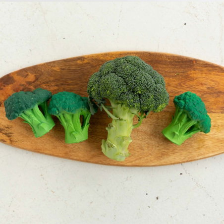 Jouet de dentition | Broccoli à mâchouiller - Oli and Carol