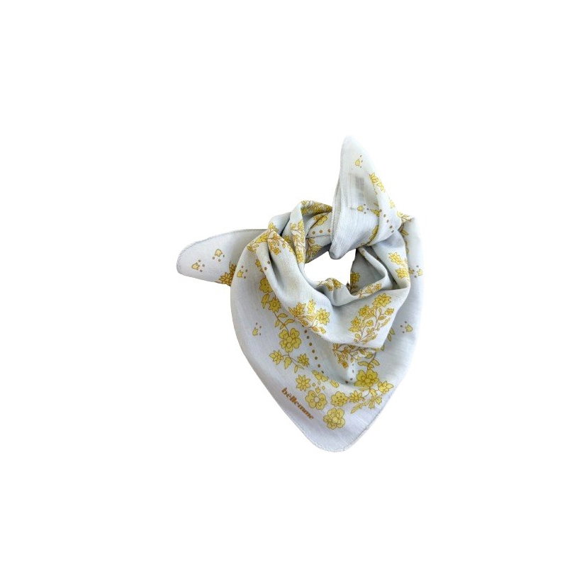 Foulard Petit format | Ginger brume