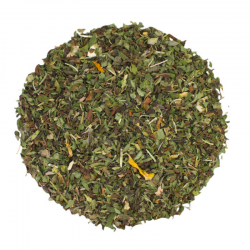 Thé vert 100 g | Morning detox - TeaTap