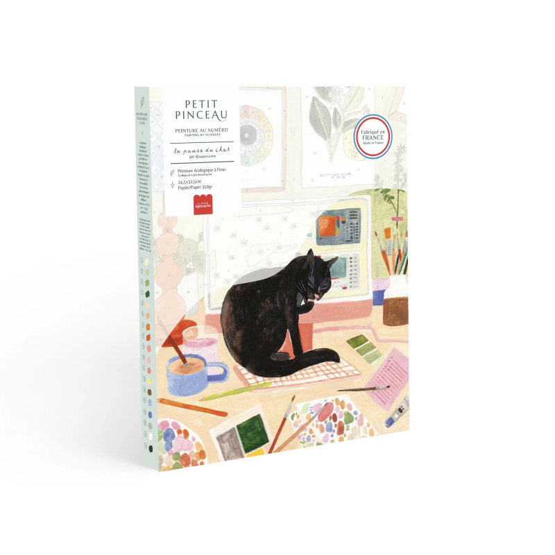 Coffret de peinture au numéro | La pause du chat