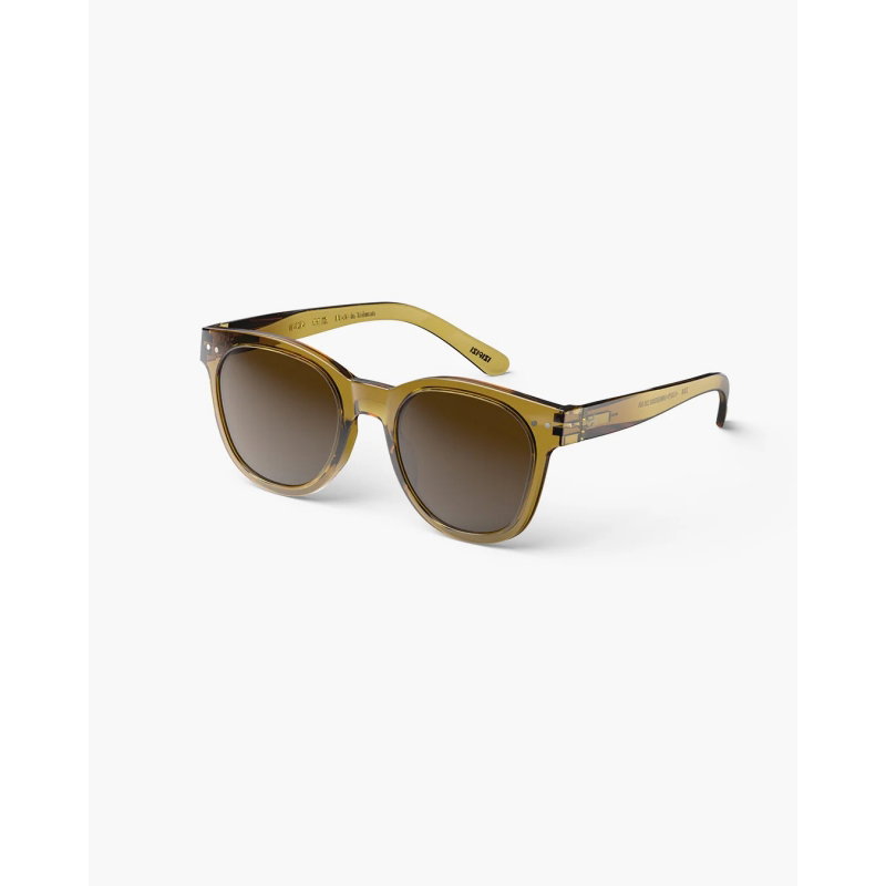 Lunettes de soleil Adulte (N) | Golden Green