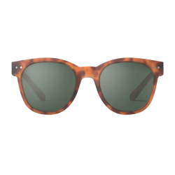 Lunettes de soleil Adulte (N) | Havane
