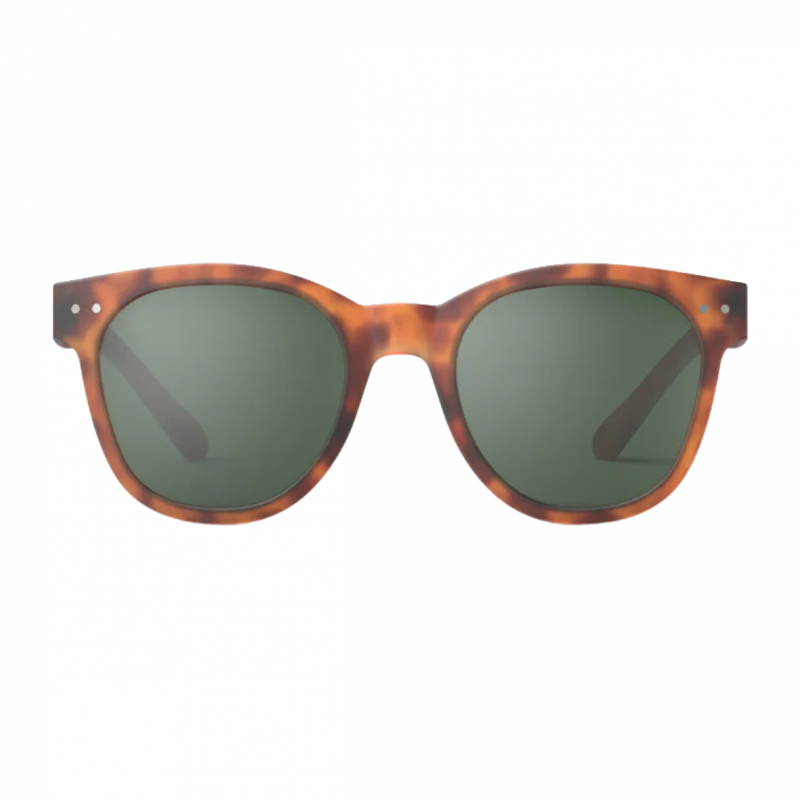 Lunettes de soleil Adulte (N) | Havane