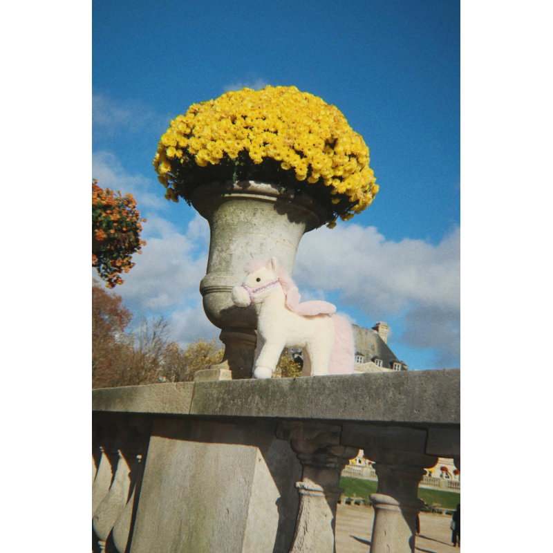 Peluche Licorne | Teddy