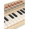 Clavier musical | Citron