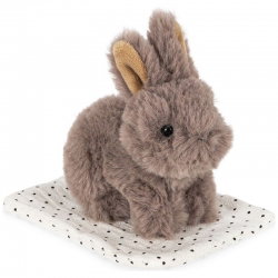 Animal dans sa boite | Lapin gris