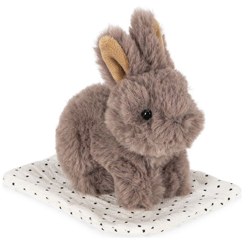 Animal dans sa boite | Lapin gris