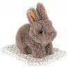 Animal dans sa boite | Lapin gris