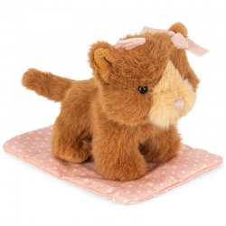 Animal dans sa boite | Chat marron