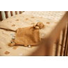 Doudou attache tétine | Bear Brave
