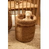 Alpaga en peluche | Alpaca Paco