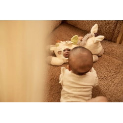 Peluche d'activités | Donkey Dinky