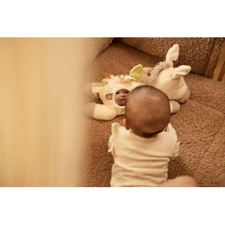 Peluche d'activités | Donkey Dinky - Jollein