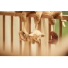 Spirale d'activité | Woolly