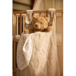 Ours en peluche | Bear Brave