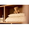 Ours en peluche | Bear Brave