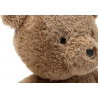 Ours en peluche | Bear Brave