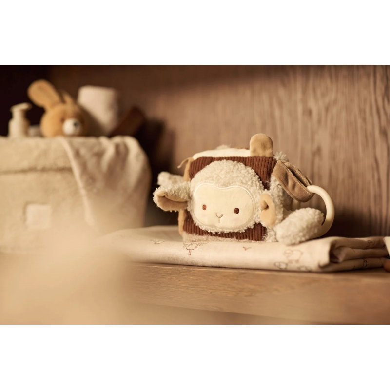Cube d'activités | Woolly