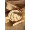 Livre d’activité | Woolly