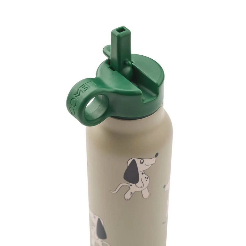 Gourde Falk inox 350 ml | Dakota dog