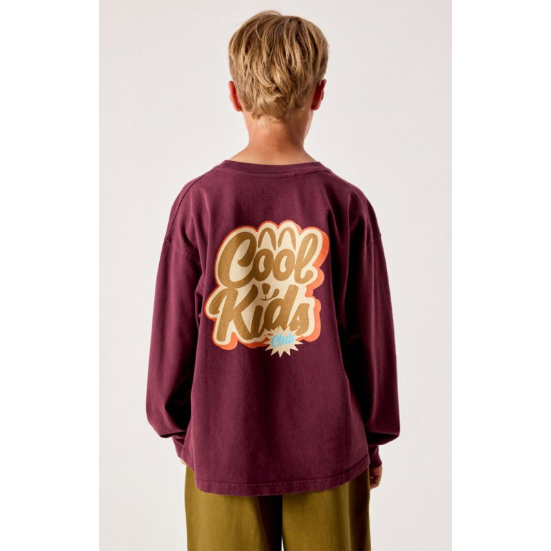 T-shirt enfant Fizvalley  | Aubergine vintage