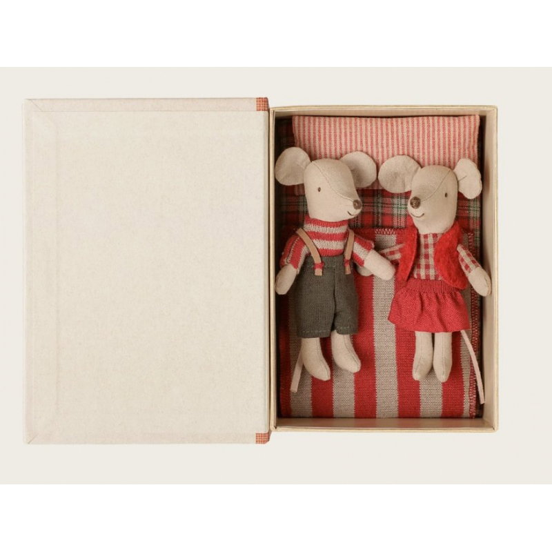 Jumeaux souris de Noël | Petite soeur et petit frère dans leur coffret livre