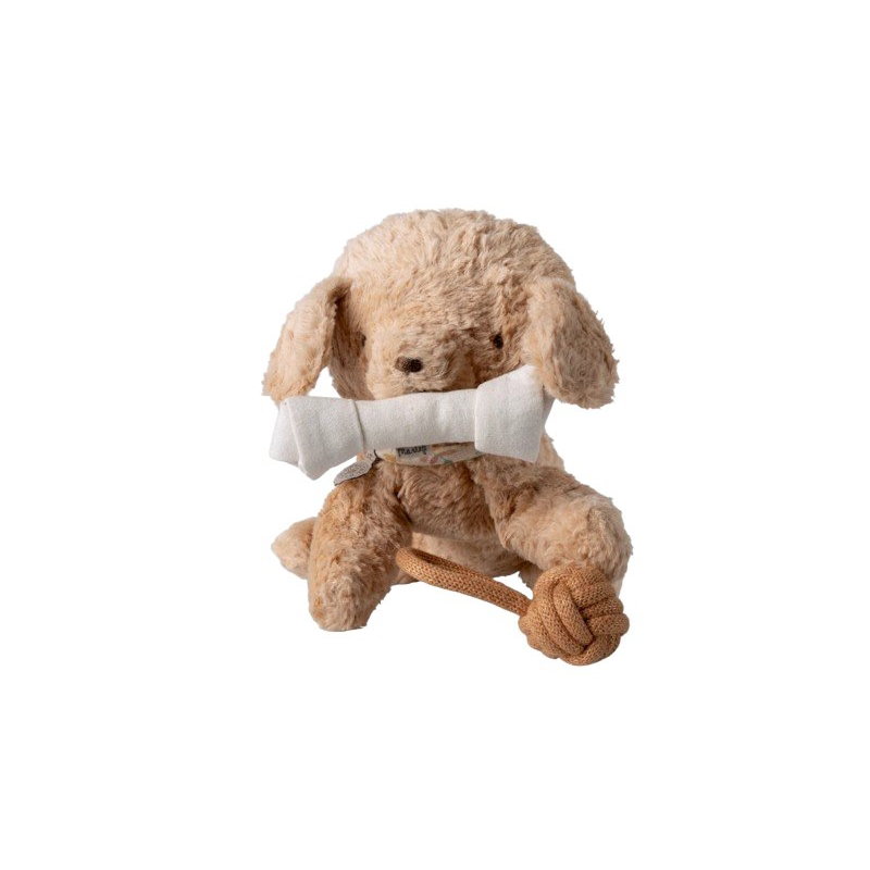 Jouets pour chien