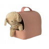 Niche transportable corail