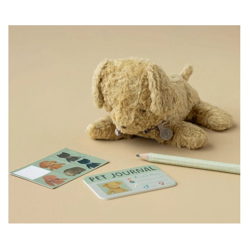 Niche transportable corail
