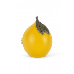 Mini maison surprise | Citron
