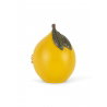 Mini maison surprise | Citron