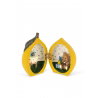 Mini maison surprise | Citron
