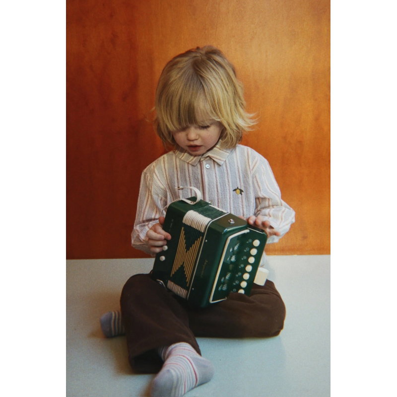 Accordéon | Vert