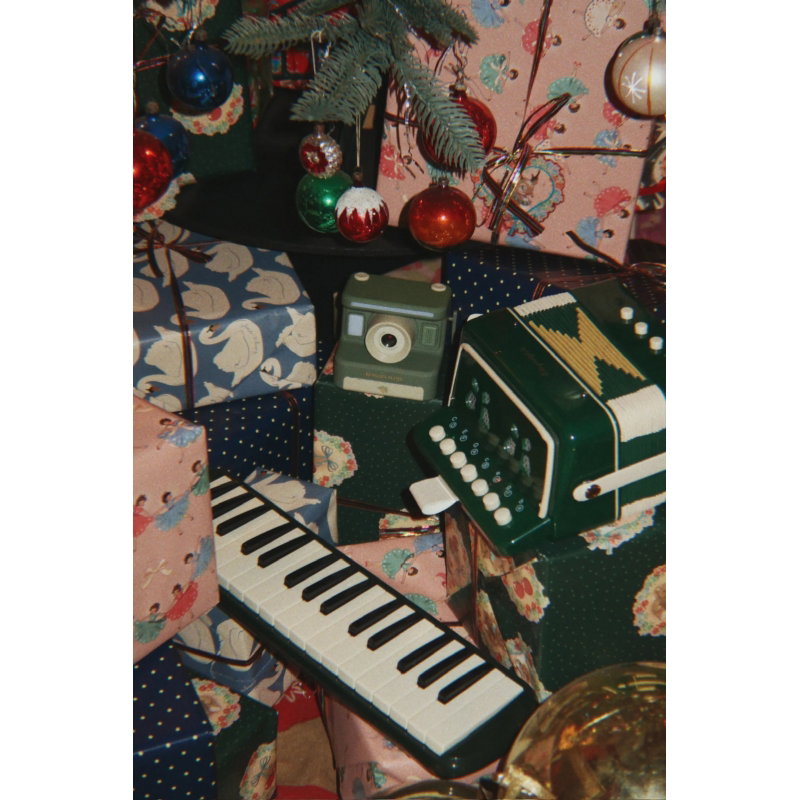Accordéon | Vert