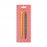 Lot de 2 stylos Metal Ballpoint | Fruit