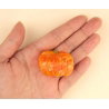 Mini pince à cheveux | Citrouille