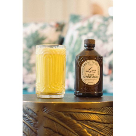 Coffret sirop Brut | Yuzo & Gingembre