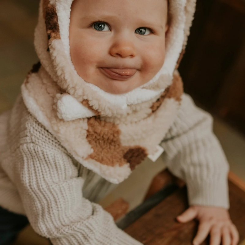 Bandana teddy | Dog