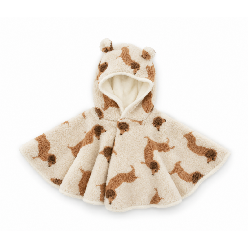 Poncho teddy | Teddy dog