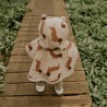 Poncho teddy | Teddy dog