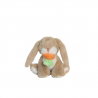 Lapin Binky | Hop