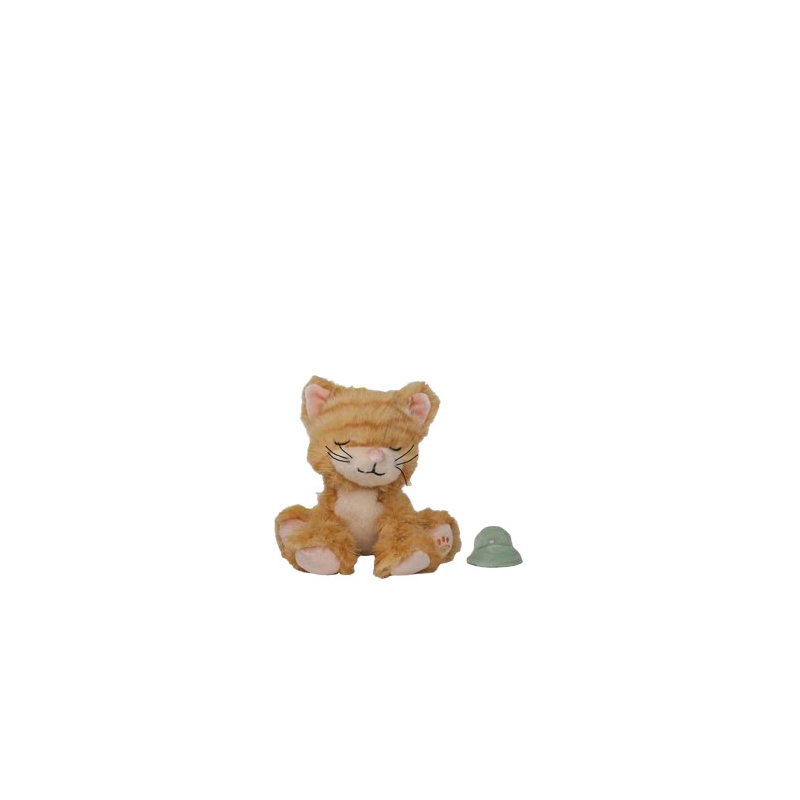 Chat Binky | Koda Ginger